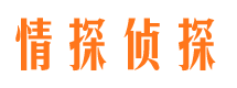 类乌齐寻人公司